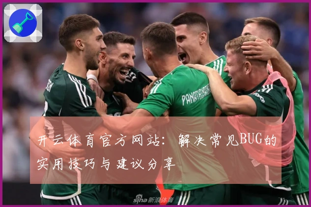 开云体育官方网站：解决常见BUG的实用技巧与建议分享
