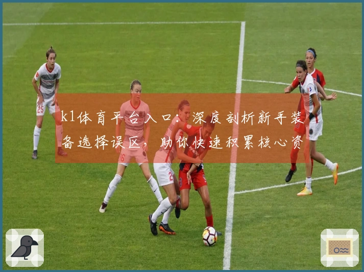 k1体育平台入口:深度剖析新手装备选择误区,助你快速积累核心资源