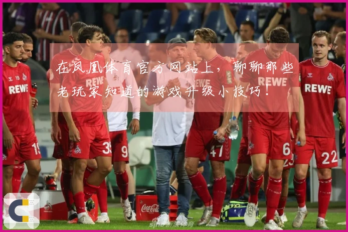 在凤凰体育官方网站上，聊聊那些老玩家知道的游戏升级小技巧！